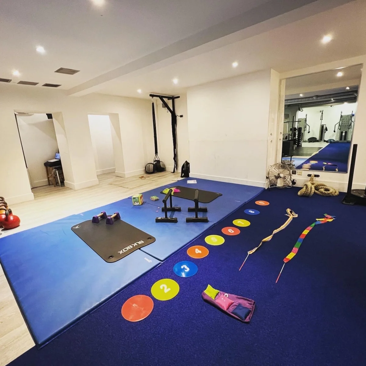 Coach conducting a one-to-one gymnastics lesson with a student at Kensington Studio, part of Kensington & Chelsea Gymnastics Academy in London