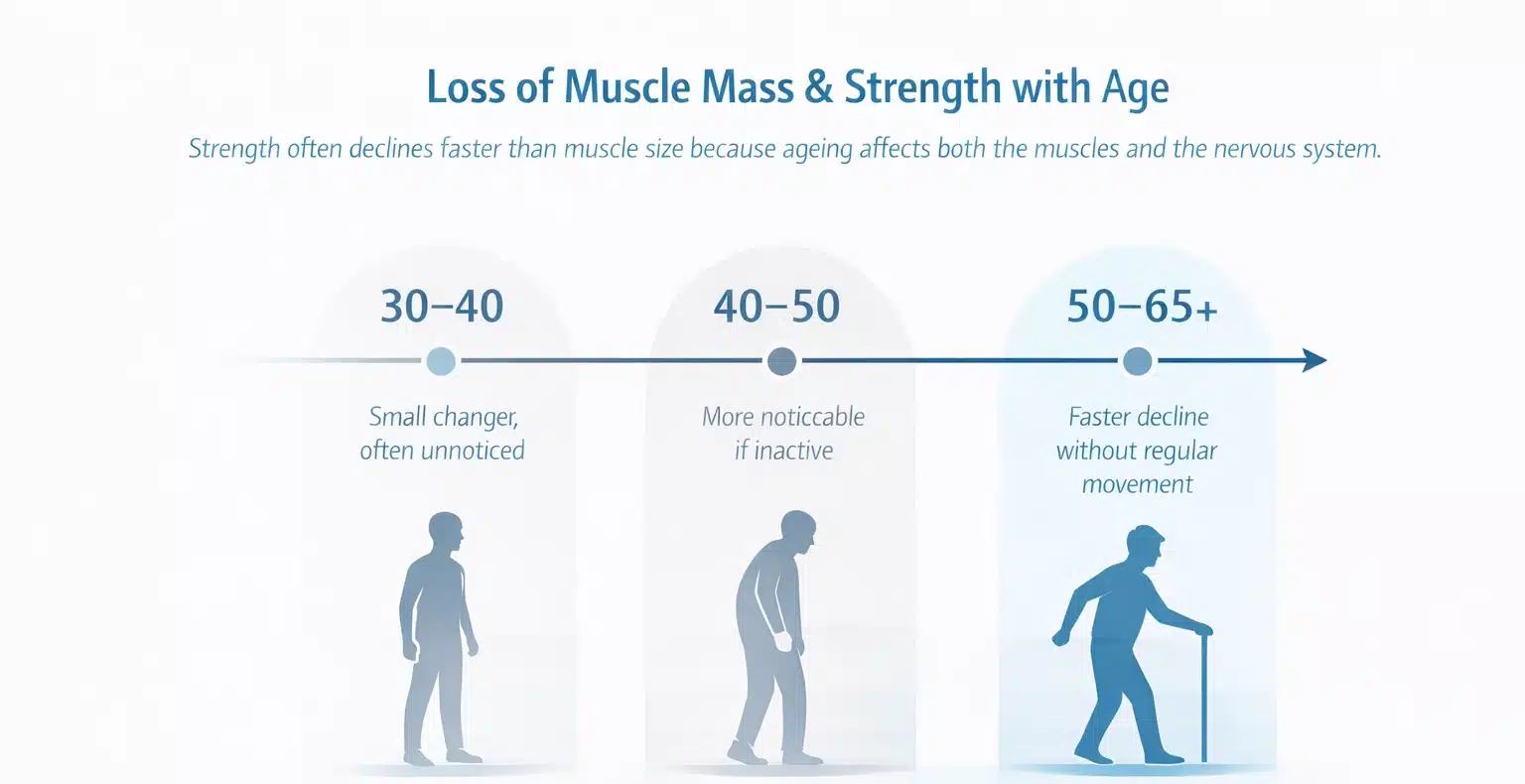 Diagram showing how muscle mass and strength decline across age groups from 30 to 65+ with visual comparison bars.
