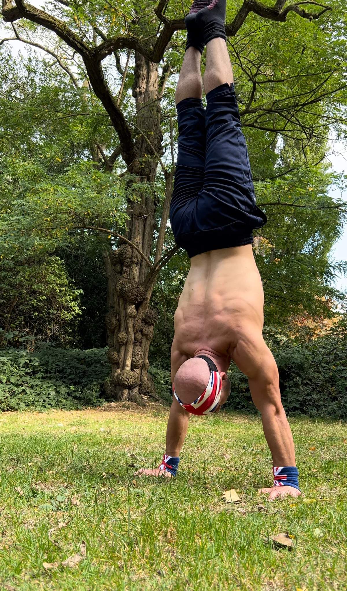 Stefan Kolimechkov holding a straight handstand beneath a large tree in Holland Park.
